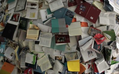 Über welche Ausbildung verfügen die Mitarbeiter in den Ghostwritingagenturen?