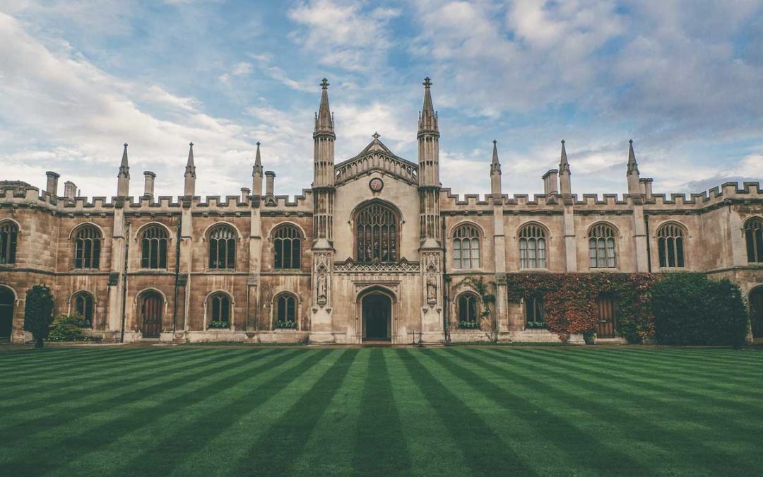 Dissertation vs thesis picture