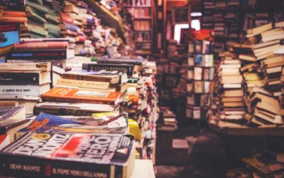 Coaching Literaturrecherche