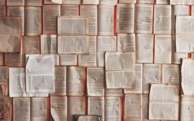 Literaturrecherche durchführen