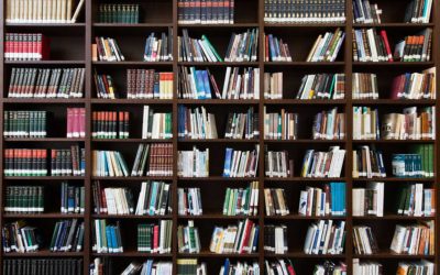 Sekundärliteratur für die Masterarbeit auswerten