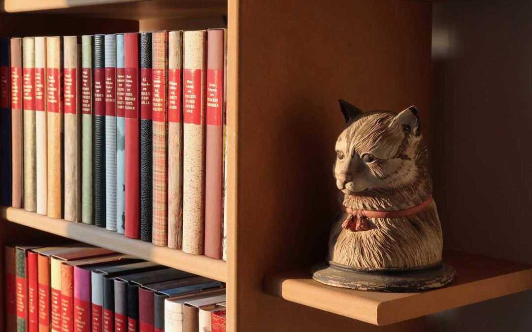 Literaturrecherche durchführen