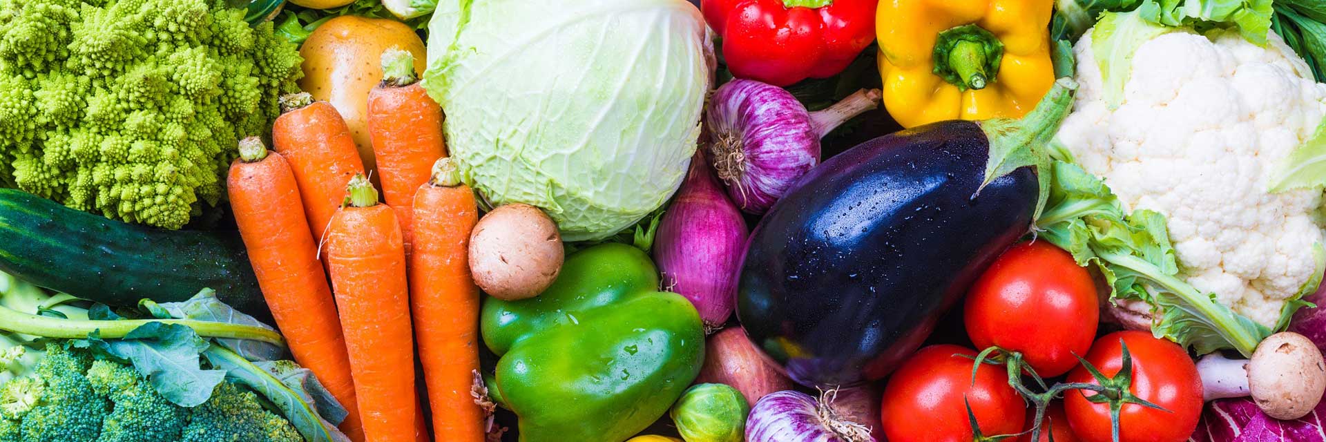 Suchen Sie einen Akademiker für Ihre Abschlussarbeit in Ernährungswissenschaft? Ghostwriter Ernährungswissenschaft