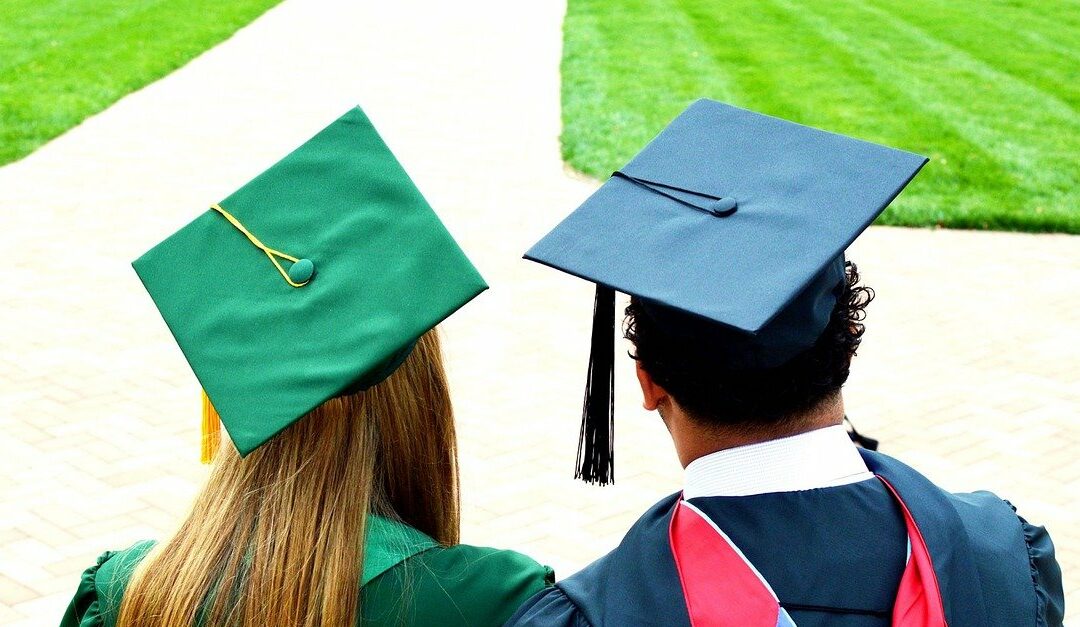 Was für Vorteile bringt die Dissertation neben dem Job